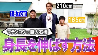 【身長を伸ばす方法】芸人マテンロウ登場！187cmアントニーと165cm大トニーが身長にまつわる質問に答えます【身長210cm 石橋貴俊】