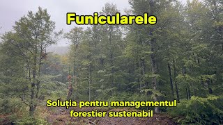 Funicularele - soluția pentru managementul forestier sustenabil