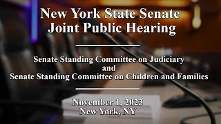 New York State Senate Joint Public Hearing - 11/01/2023