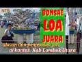 Bonsai LOA juara#kontes bonsai#penjelasan bonsai juara#atahar bonsai