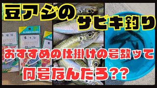 豆アジ釣りで選ぶ推しの仕掛けの号数紹介 #サビキ釣り #アジ #仕掛けの号数 #爆釣