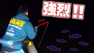 真夜中の海で強烈な引きのあの魚が釣れた！！