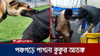 পঞ্চগড়ে পাগলা কুকুরের কামড়ে আহত ১৩; আরও আক্রমণের আশঙ্কা | Panchagar Dog Bites | Jamuna TV