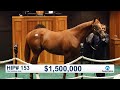 The Saratoga Sale (2019): Curlin colt sells for $1,500,000 (Hip 153)