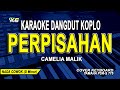 PERPISAHAN KARAOKE NADA PRIA - CAMELIA MALIK (VERSI DANGDUT KOPLO