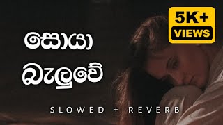 Soya Baluwe (සොයා බැලුවේ) -Shehan Harsha (slowed + reverb) | Ma Dakkama Duwagena Apu