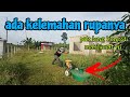 [Episod1222] selepas dua hari guna mesin rumput tolak, ini pulak yang terjadi..