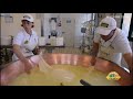 how we make cheese in factory cheese production machines u0026 technology food processing machines