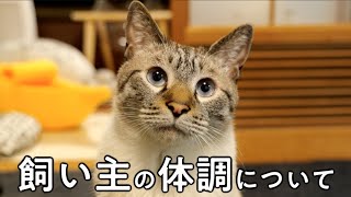 飼い主が新型コロナウィルスに感染しました