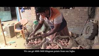 Biotechnology Potato Partnership