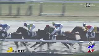 2025年1月25日中京4R 3歳新馬　ダート1800m インディゴ