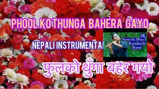 Basuri and Madal।। Nepali Songs।। फूलको थुङ्गा।।