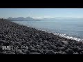 駿河湾岸の海浜