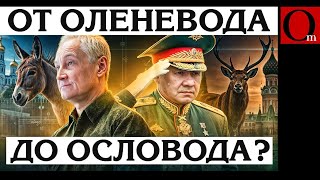 Ползучая деШойгизация. Зачем путин сменил оленевода на ословода