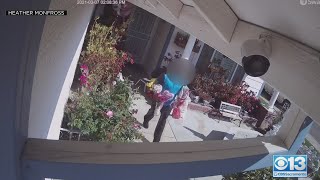 Amazon Driver Suspected of Stealing From Baby Shrine In Sacramento County