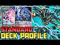 Standard Phantom Blaster Overlord Deck Profile 2024 | Cardfight!! Vanguard