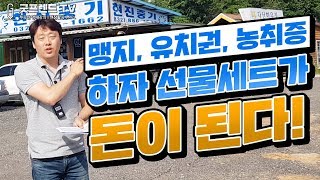 [굿프렌드TV] 맹지,유치권,농취증 하자 선물세트가 돈이 된다! 부동산전문채널