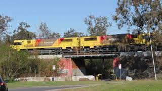 Coal from Acland in Queensland