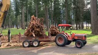 Log Truck at Golf Course