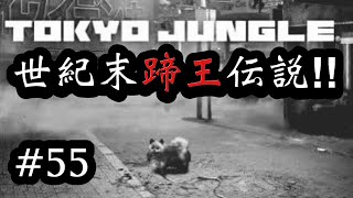 【TOKYO JUNGLE】世紀末蹄王伝説‼︎ ・ＫＪ presents. 【#55】伝説のうまぴょい！