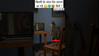 बिल्ली के इस रूप को देख कर आपकी रूह कांप जाएगी 😳 😵 🤒 #scary cat #cat ghost #soul cat #billi ka bhoot