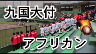 九国大付の応援！！アフリカンシンフォニー！！九州高校野球！！