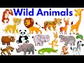Wild Animals for Kids | Wild Animals with Sounds | wild animals name |#animals #wildanimals #Educare
