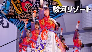 📌駿河リゾート 原宿表参道元氣祭スーパーよさこい 2024