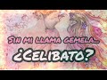 Sin mi Llama Gemela...¿Celibato?