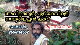 മന്ത്രവാദം = കൈവിഷം, മാറാരോഗം  പൂർണമായും മാറും നമ്പൂരിയച്ഛൻ കാവ് ഫോൺ.7909114587, 9656114587