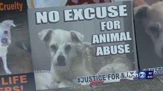 Hawaii’s lax animal cruelty laws could be overhauled