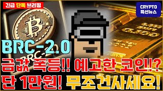 [긴급속보] 금값 폭등은 예고한 코인!!? BRC-20코인 1만원으로 80억 만든다!?