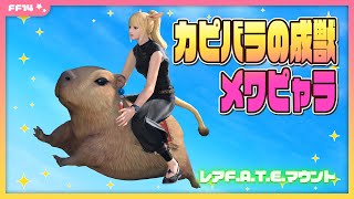 【騎乗BGM付き】マウント「メワピャラ」に乗ってみた【FF14】