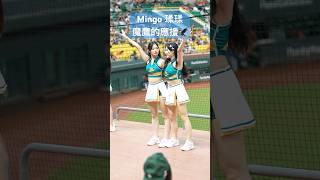 Mingo 瑈瑈 魔鷹應援 #Mingo #瑈瑈 #台鋼雄鷹啦啦隊 台湾プロ野球チア #wingstars #チアリーディングの女の子 안지현 2024/6/14