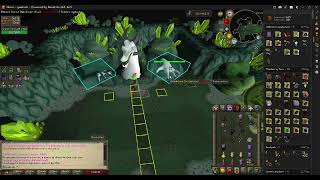Alora : COX Guide for Beginners |