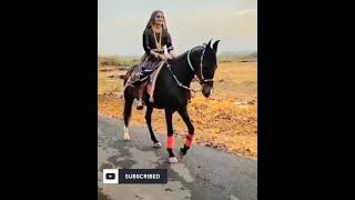 geeta rabari gujrati whatsapp status |new fullscreen status 🔥 kutchi status ❤️#shorts.