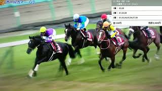 【競馬】 神戸新聞杯GⅡ オールカマーGⅡ 【JRA Horse racing】 Kobe Shimbun Cup GII All Comers GII