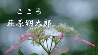 こころ　萩原朔太郎　朗読