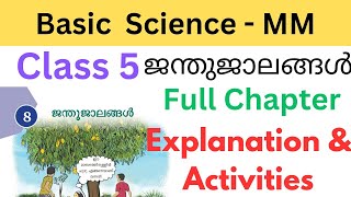 Class 5 Basic science MM chapter 8 Diverse Organism explanation and activities full chapter #class5