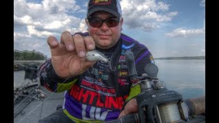 What reel to use for squarebill crankbait fishing featuring Lew's Pro Bill Lowen