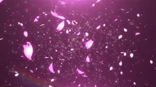 著作権フリー 映像素材 動画素材 桜 さくら 花びら 春 花 日本 Br 著作権フリー 映像素材 動画素材 桜 さくら 花びら 春 花 日本 Br