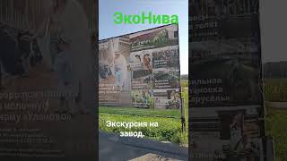 Экскурсия #эконива #калужскаяобласть #молоко #дети  Сегодня я на заводе ЭкоНива. в России такой один