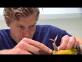 non stop bondi vet 4 hours of unbelievable animal stories