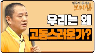 질투의 화신 제바달타는 곧 우리의 모습이다 |진푸티 종사의 보리심 667회 전체영상 #부처님의 경지를 탐색하다 17 #진푸티