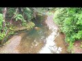 couchy coochie creek 4k nsw australia stream creek northernrivers tweedvalley