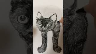 子猫お絵描きチャレンジ【色鉛筆イラスト】黒猫を描いてみた #イラストメイキング #catdrawing #pencildrawing #animaldrawing