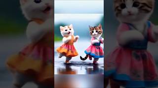 💃🤣Dudi dudi dum dum dance #cat #funny #shortfeed ytshort #catlover