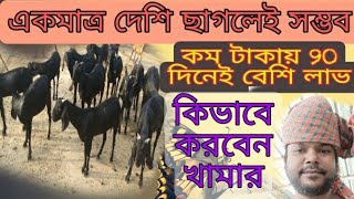 দেশি ছাগলেই বেশি লাভ ||অল্প পূজিতে কম সময়ে বেশি লাভ করতে চাইলে দেশি ছাগল দ্বারাই সম্ভব ||BD farmers