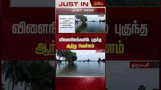 விளைநிலங்களில் புகுந்த ஆற்று வெள்ளம்.. #dharmapuri #cauveryriver #flood #Newstamil24x7