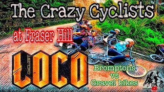 Loco The Crazy Cyclists at Fraser Hill. @lococyclistinternational@dashamin#kakm #cyclinglife #brompton